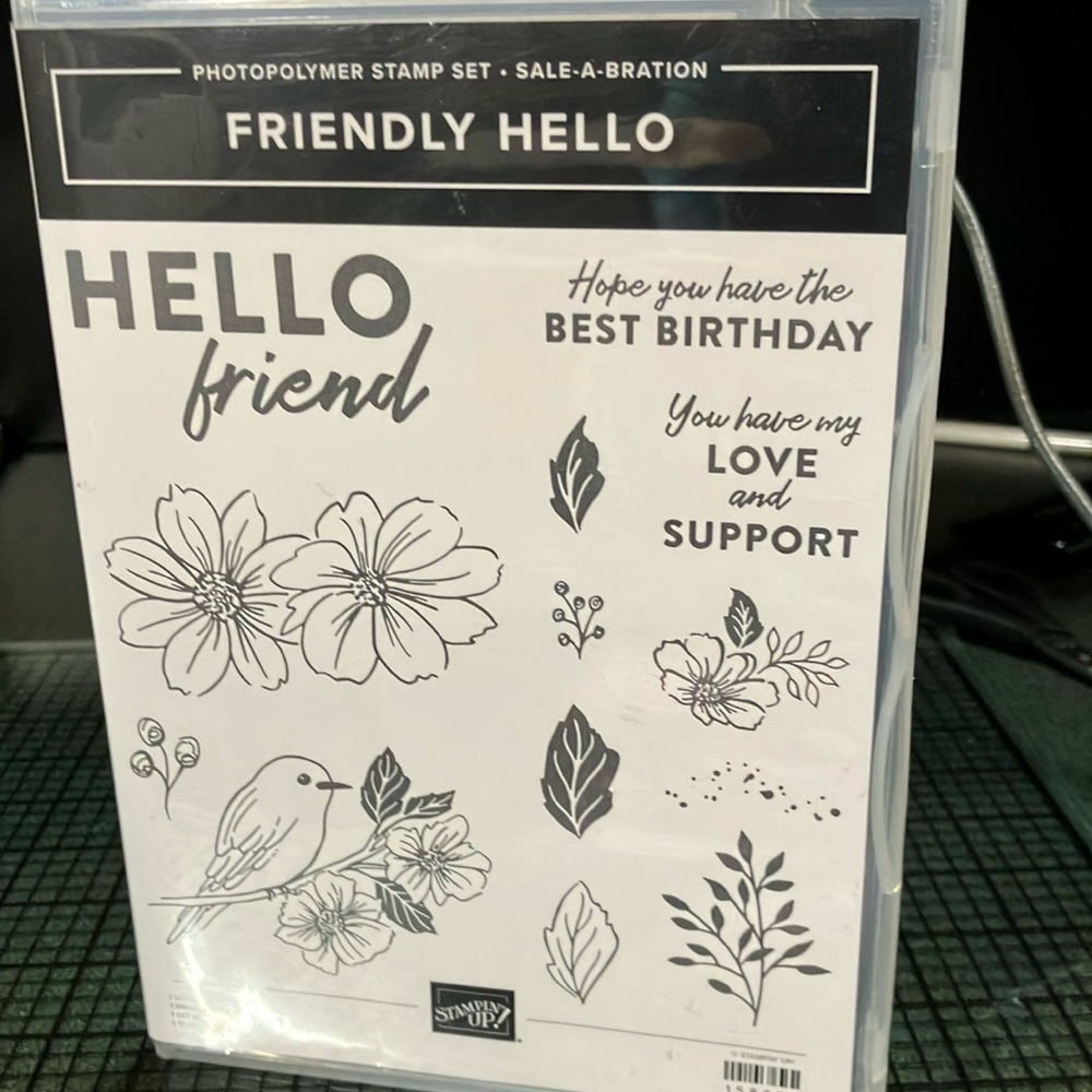 Stampin up Friendly Hello stamp set and matching DSP.